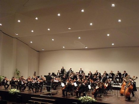La Orquesta Sinfónica en el Concierto de Año Nuevo del Año 2012