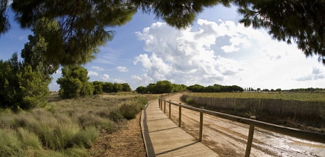 Parque Natural de la Laguna de La Mata y Torrevieja